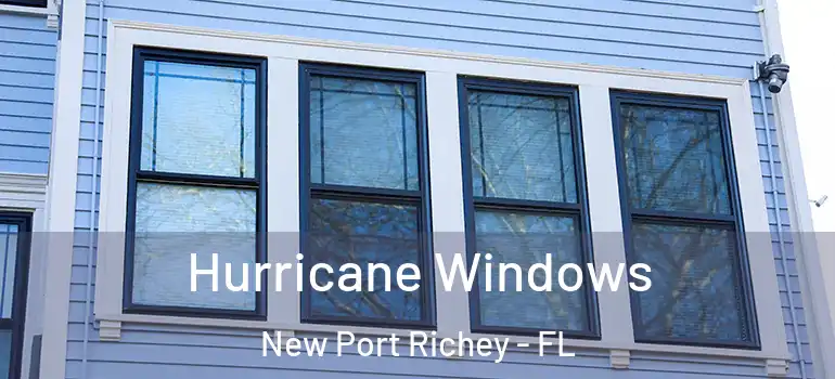  Hurricane Windows New Port Richey - FL