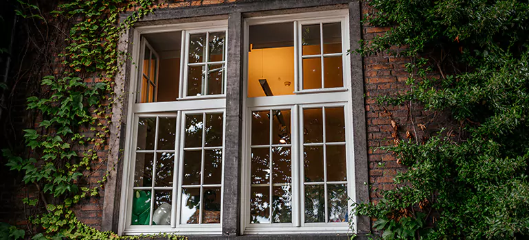 Energy Efficient Wood Windows in New Port Richey, FL