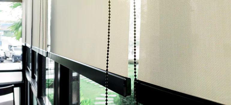 Blackout Window Shades in New Port Richey, FL
