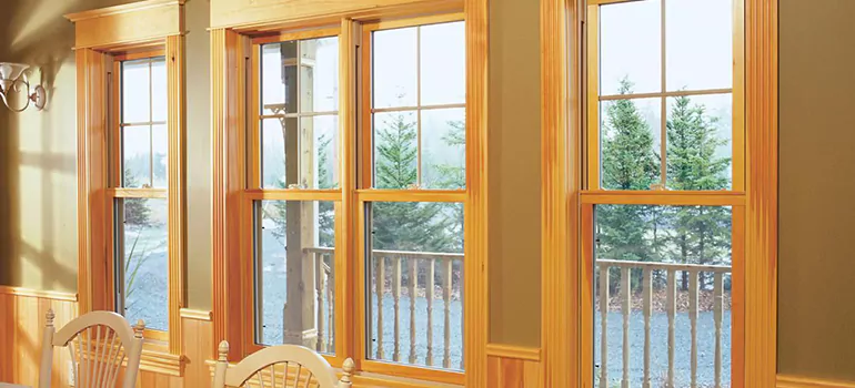 Government Incentives For Replacement Windows in New Port Richey, FL