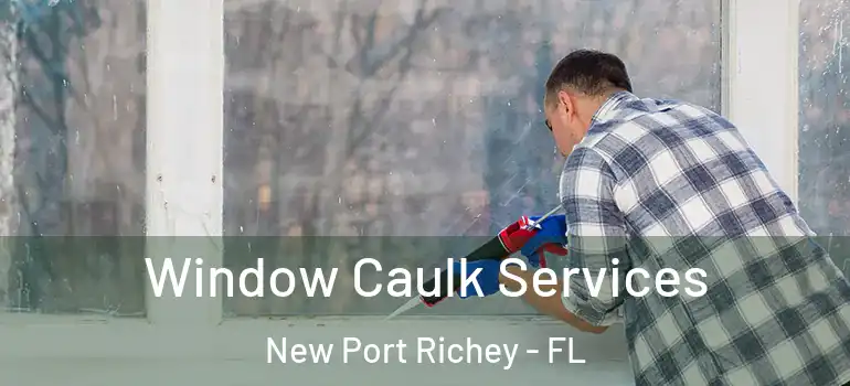  Window Caulk Services New Port Richey - FL