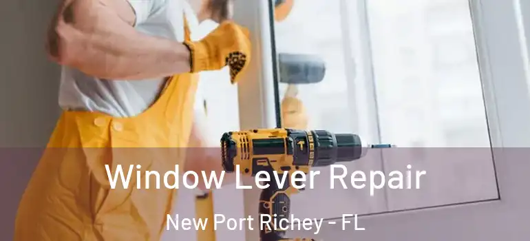  Window Lever Repair New Port Richey - FL