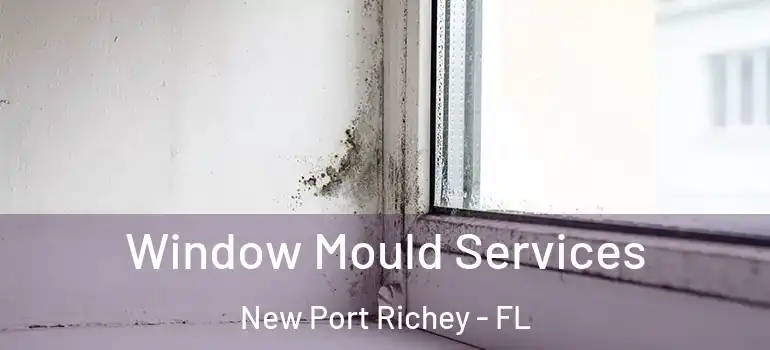  Window Mould Services New Port Richey - FL